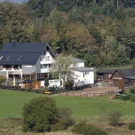 Ginsberger Heide Hotel Hilchenbach Værelse billede