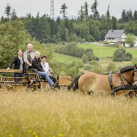Ginsberger Heide Hotel Hilchenbach Eksteriør billede