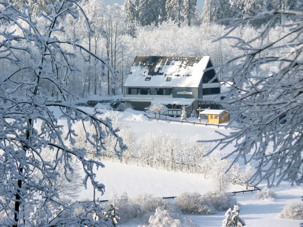 Ginsberger Heide Hotel Hilchenbach Eksteriør billede