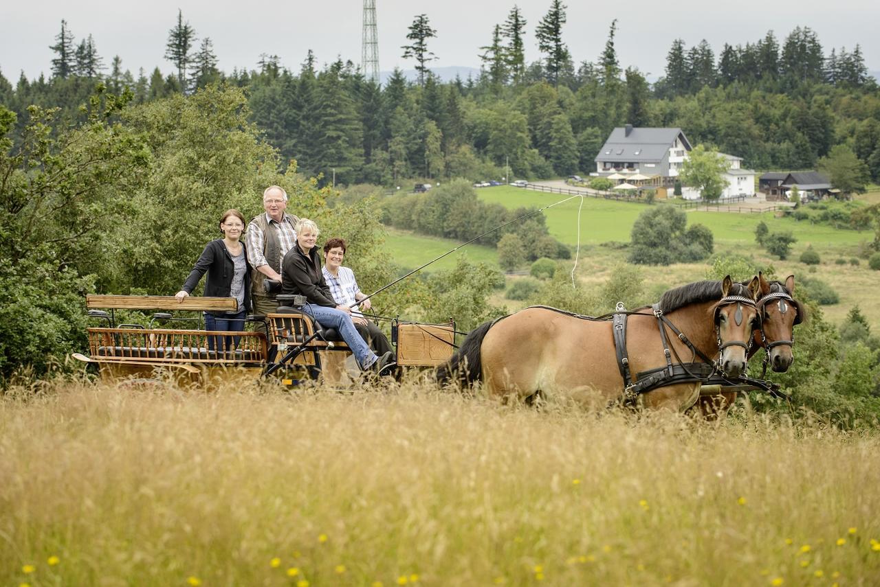 Ginsberger Heide Hotel Hilchenbach Eksteriør billede